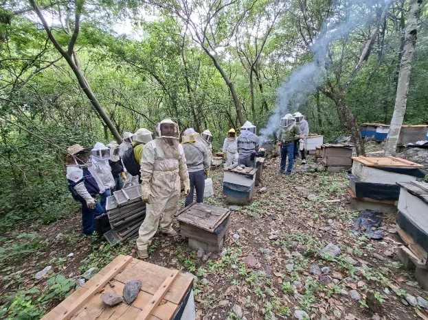 Capacitación en Buenas Prácticas Apícolas, cooperativa CIPAC, Cuilco. FAO · Unión Europea