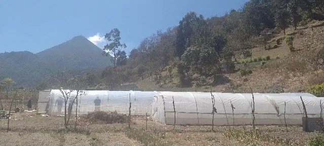 Macrotúnel de producción en el altiplano