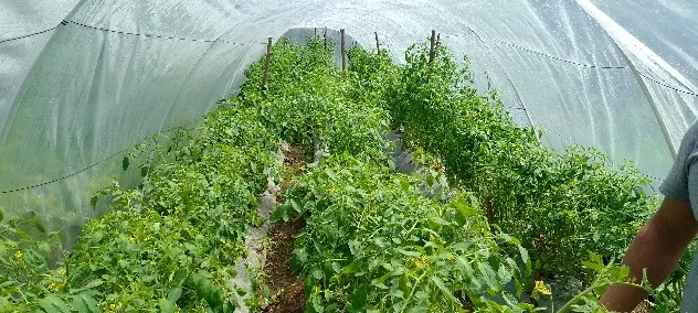 Desarrollo Productivo Sostenible