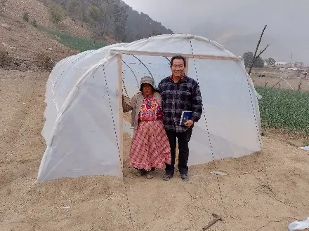 Producción de tomate en Xecaracoj, Quetzaltenango. ACOEC